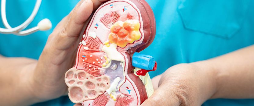 Curso de Desarrollo Profesional en Enfermería Aplicada al Proceso de Donación y Trasplante Renal