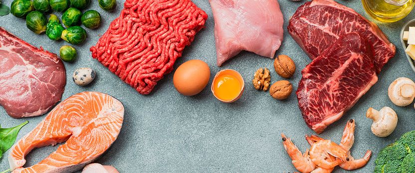 Curso de Desarrollo Profesional en Tecnología y Nutrición de Alimentos de Origen Animal