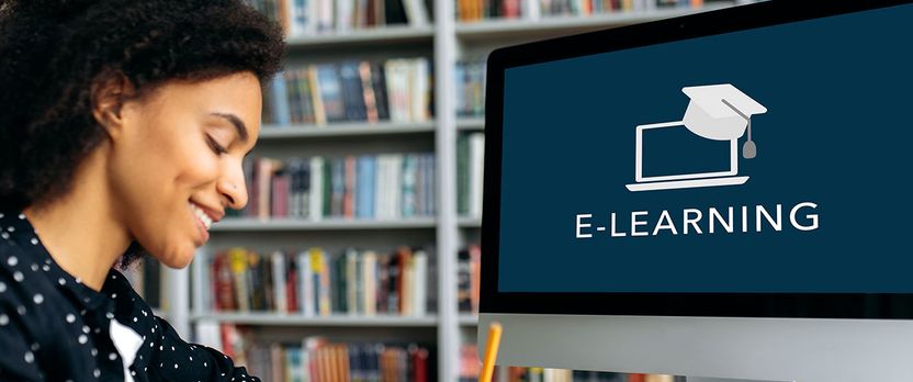 Curso en E-learning: Diseño, Evaluación y Tutorización de la Formación Digital