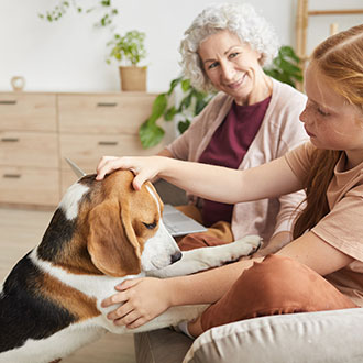 Curso de Desarrollo Profesional en Aplicación de la Terapia Asistida con Animales en Psicología y Educación