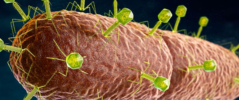 Curso de Desarrollo Profesional en Parasitología Clínica y Diagnóstico de Enfermedades Parasitarias