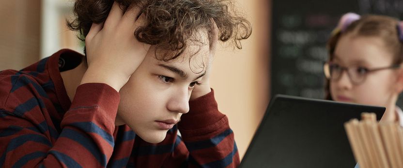 Curso en Acoso Escolar y Ciberbullying: Estrategias Educativas y Familiares