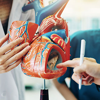 Curso de Desarrollo Profesional en Enfermedad Cardiovascular: Evaluación, Tratamiento y Prevención
