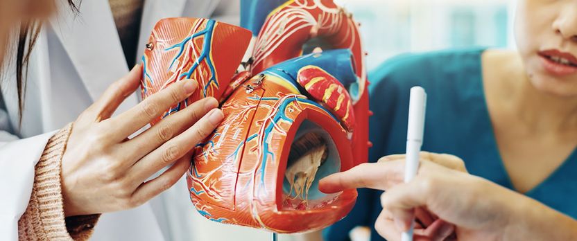 Curso de Desarrollo Profesional en Enfermedad Cardiovascular: Evaluación, Tratamiento y Prevención