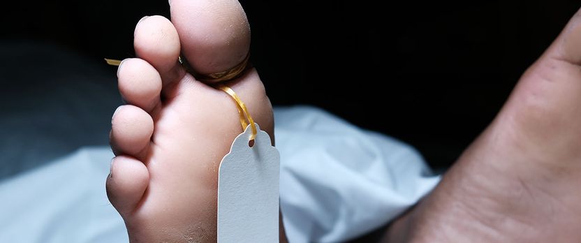Curso de Desarrollo Profesional en Tanatopraxia: Técnicas Profesionales de Conservación y Embalsamamiento