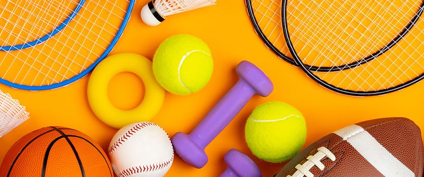Curso de Desarrollo Profesional en Dinamización de Actividades Físico-Deportivas y Recreativas