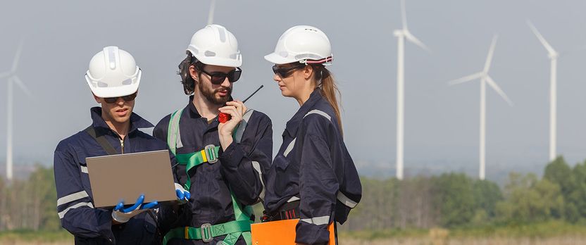 Curso de Desarrollo Profesional en Sistemas de Producción Eólica y Monitorización