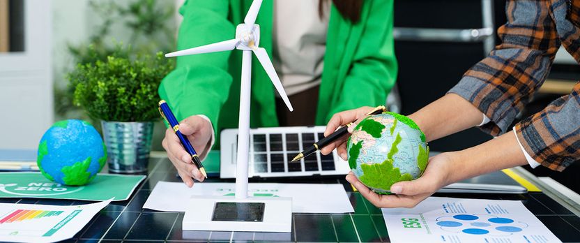 Curso de Desarrollo Profesional en Instalaciones y Aprovechamiento de Energías Renovables