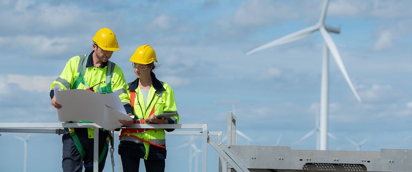 Curso en Energía Hidroeléctrica: Fundamentos, Instalaciones y Gestión