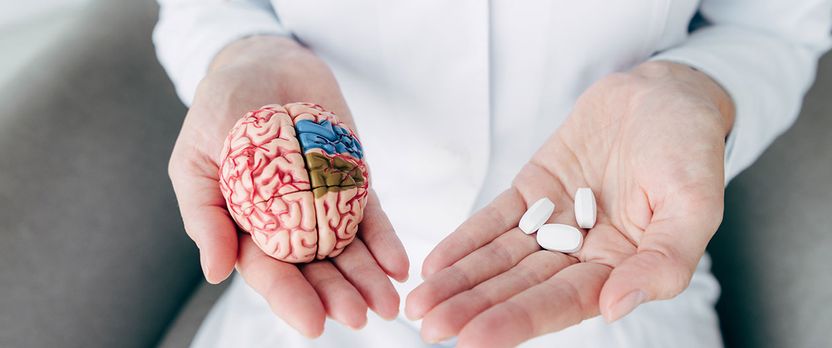 Curso en Neurofarmacología y Alteraciones Neurológicas Inducidas