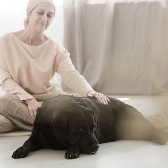 Curso en Intervenciones Terapéuticas Asistidas con Animales