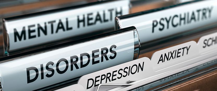 Curso de Desarrollo Profesional en Salud Mental y Trastornos Psíquicos: Diagnóstico, Intervención y Apoyo Clínico