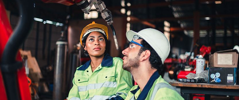Curso de Desarrollo Profesional en Trabajo Social Aplicado a la Orientación e Inserción Laboral