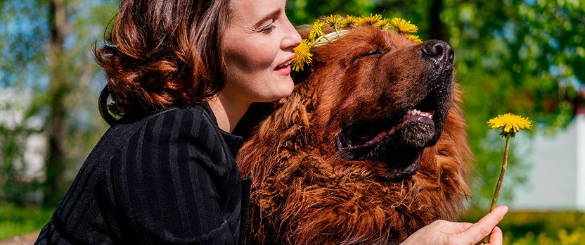 Curso de Desarrollo Profesional en Psicología Canina e Inteligencia Emocional para la Gestión del Comportamiento