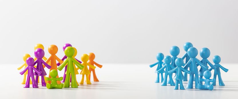 Curso en Animación Social y Acompañamiento de Personas Dependientes en Instituciones