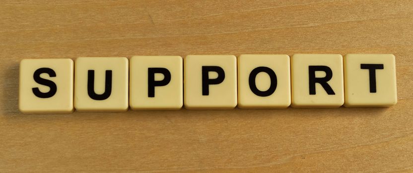 Curso en Acogida Institucional y Apoyo Básico a Personas en Situación de Dependencia
