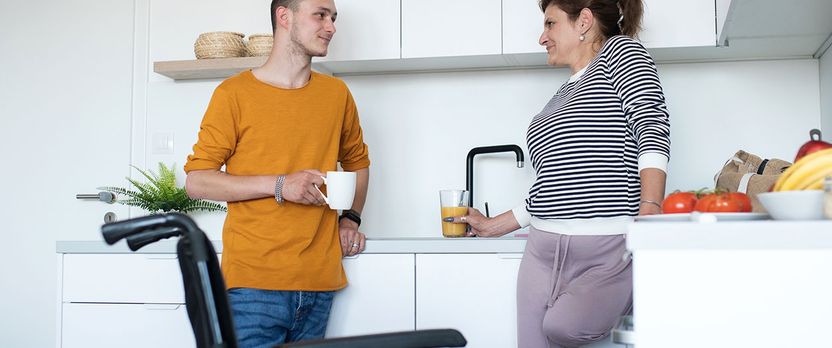 Curso en Mantenimiento y Organización del Hogar para Personas Dependientes