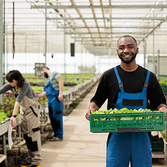 Curso en Formación y Acompañamiento Sociolaboral en Entornos de Inclusión