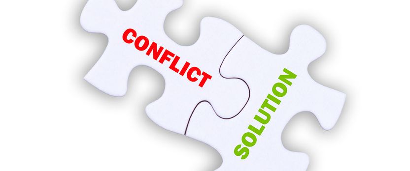 Curso de Desarrollo Profesional en Entrenamiento en Habilidades Sociales y Gestión de Conflictos