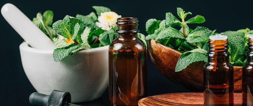 Curso Universitario de Especialización en Naturopatía