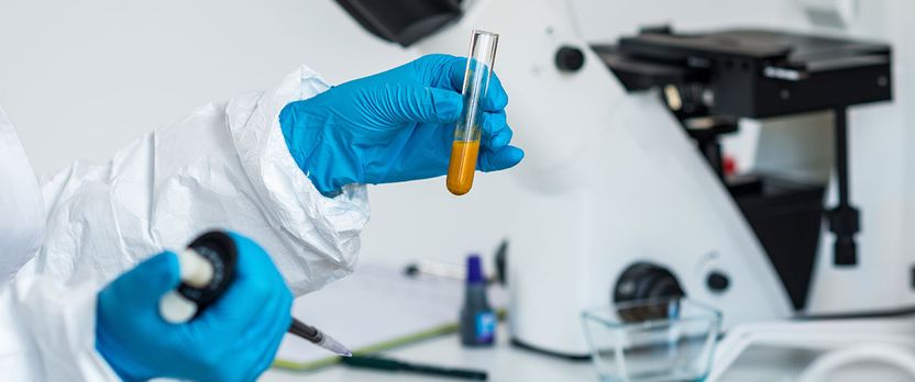 Curso de Desarrollo Profesional en Implantación, Gestión y Auditoria de la Norma BRC 8 de Seguridad Alimentaria