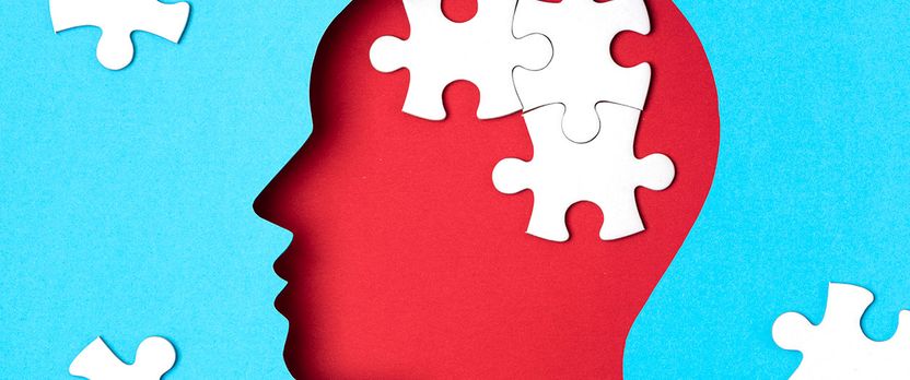 Curso Universitario de Especialización en Fundamentos y Evaluación de la Neuropsicología Clínica