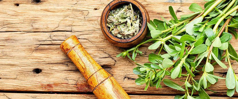 Curso de Desarrollo Profesional en Plantas Medicinales en la Oficina de Farmacia