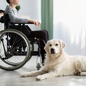 Curso Universitario de Especialización en Diagnóstico y Tratamiento de Trastornos de Movilidad