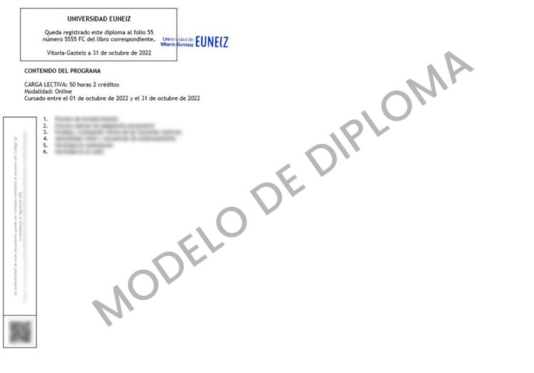 Diploma de la Universidad de Vitoria-Gasteiz