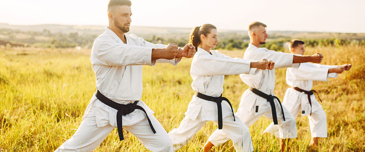 Imagen de Karate