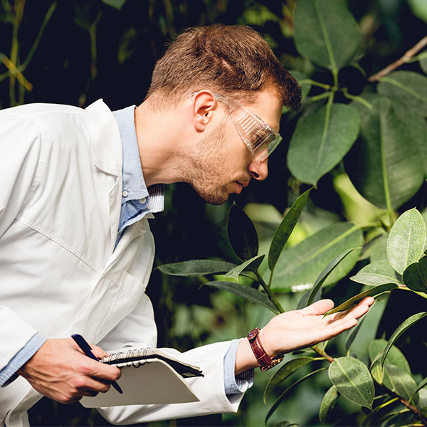 Imagen de Ciencias Ambientales
