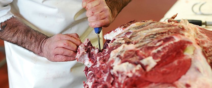 Curso en Manipulación Higiénica de Alimentos en el Sector Cárnico