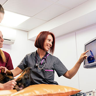 Imagen de Curso Universitario de Especialización en Técnicas de Diagnóstico Veterinario