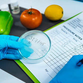 Imagen de Curso Universitario de Especialización en Análisis y Control Microbiológico en la Industria Alimentaria