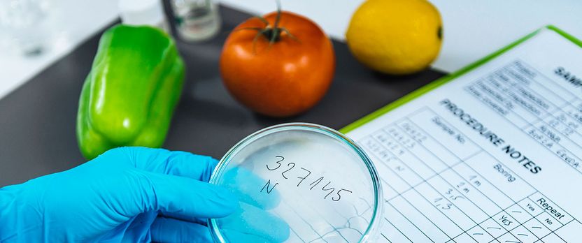 Curso Universitario de Especialización en Análisis y Control Microbiológico en la Industria Alimentaria