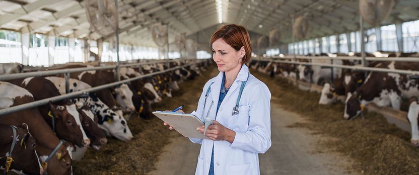 Curso Universitario de Especialización en Auxiliar de Veterinaria en Granjas