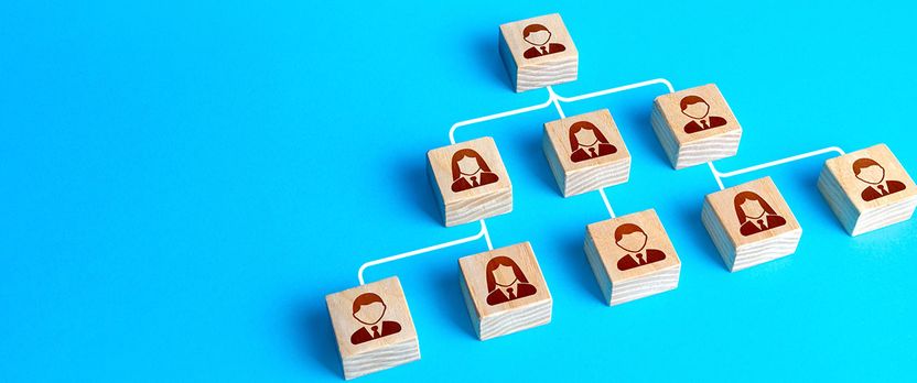 Curso Universitario de Especialización en Dirección de Recursos Humanos y Desarrollo de Talento