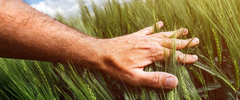 Curso en Implementación de Sistemas de Gestión Ambiental