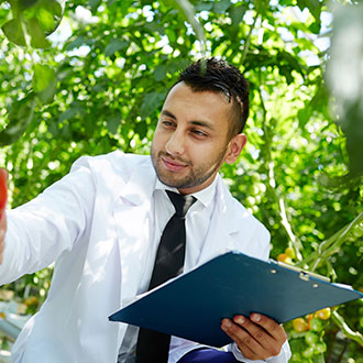 Imagen de Curso en Administración Eficiente de Empresas Agrarias