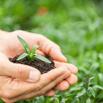 Imagen de Curso en Gestión e Incorporación a la Empresa Agraria