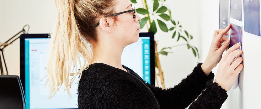 Curso de Desarrollo Profesional en Fundamentos de Dirección de Proyectos según Metodología PMI