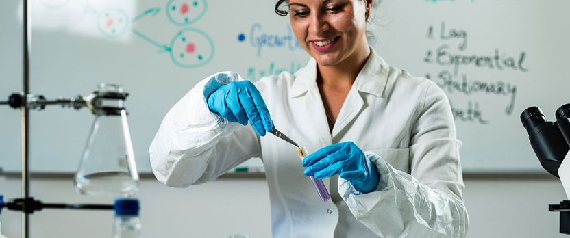 Curso en Auditorías según la Norma Internacional Food Standard