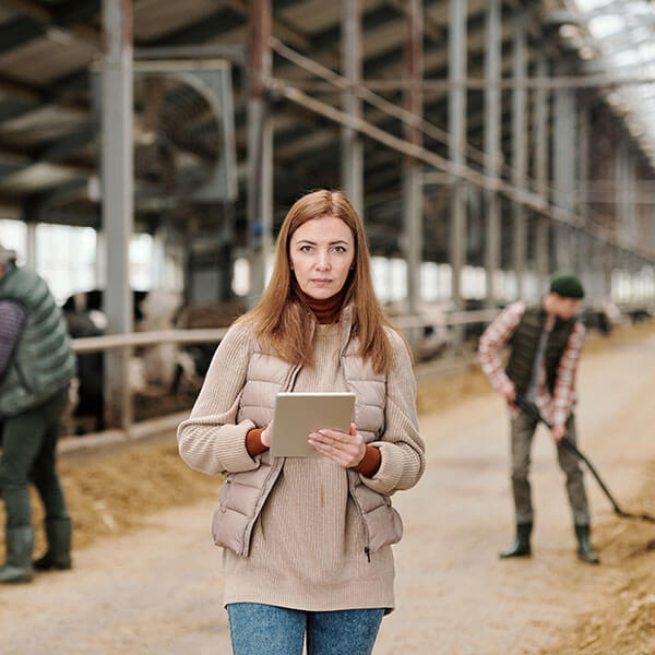 Imagen de Producción Agropecuaria