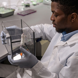 Imagen de Curso Universitario de Especialización en Aplicaciones de la Biotecnología e Inmunología en Flora y Fauna