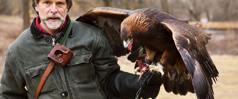 Curso Universitario de Especialización en Técnico en Rehabilitación de Fauna Salvaje