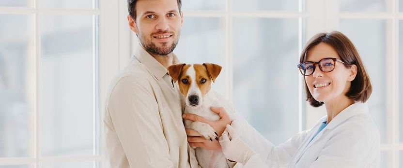 Curso Universitario de Especialización en Quirófano del Centro Veterinario