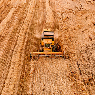 Imagen de Curso en Trabajador Agropecuario