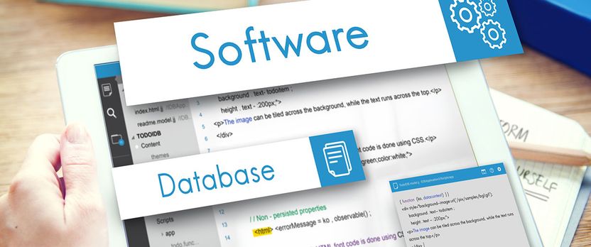 Curso de Desarrollo Profesional en Creación y Gestión de Sitios Web con WordPress