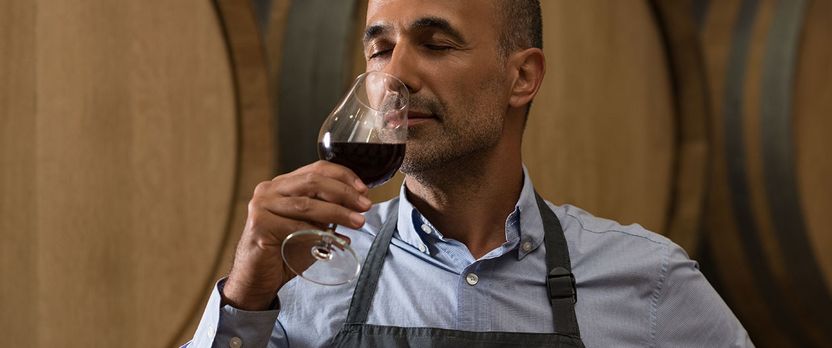 Curso en Técnico Profesional en Enología y Maridaje