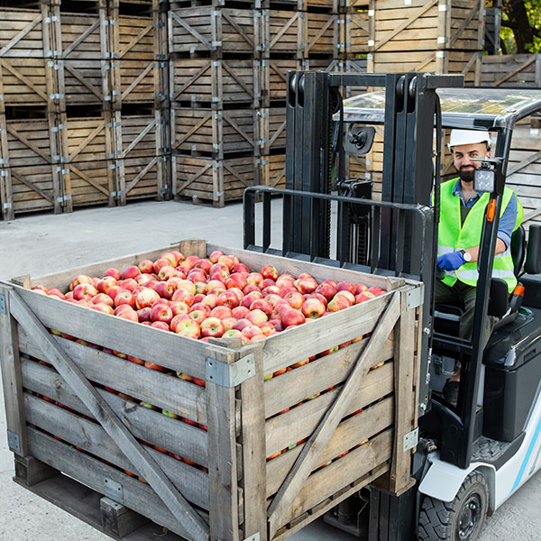 Imagen de Experto Universitario en Gestión y Supervisión de Procesos en la Industria Alimentaria